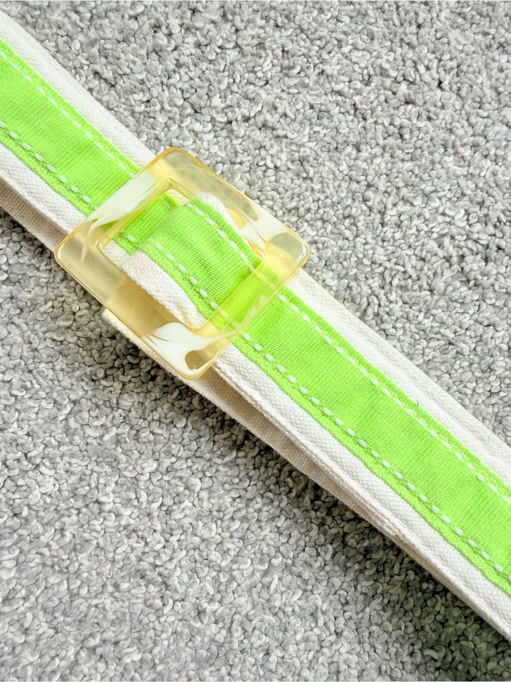 Blue Dragonfly Canvas Belt with Green Stripe